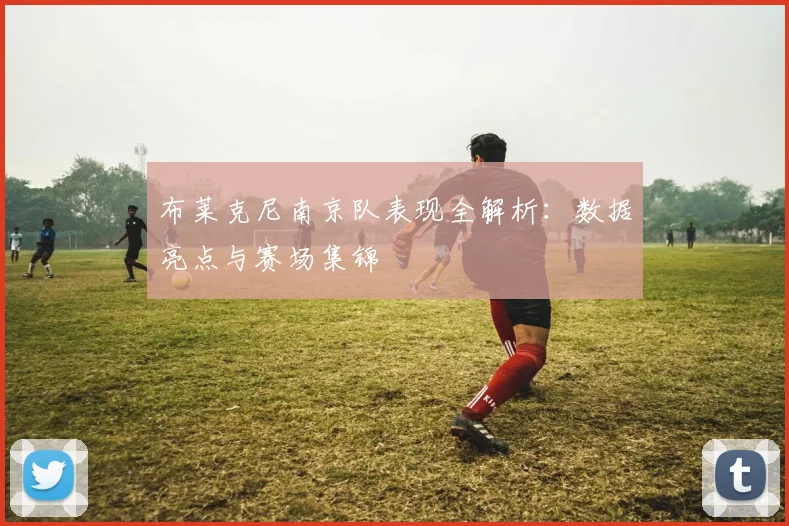 布莱克尼南京队表现全解析：数据亮点与赛场集锦